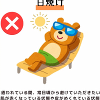 画像397
