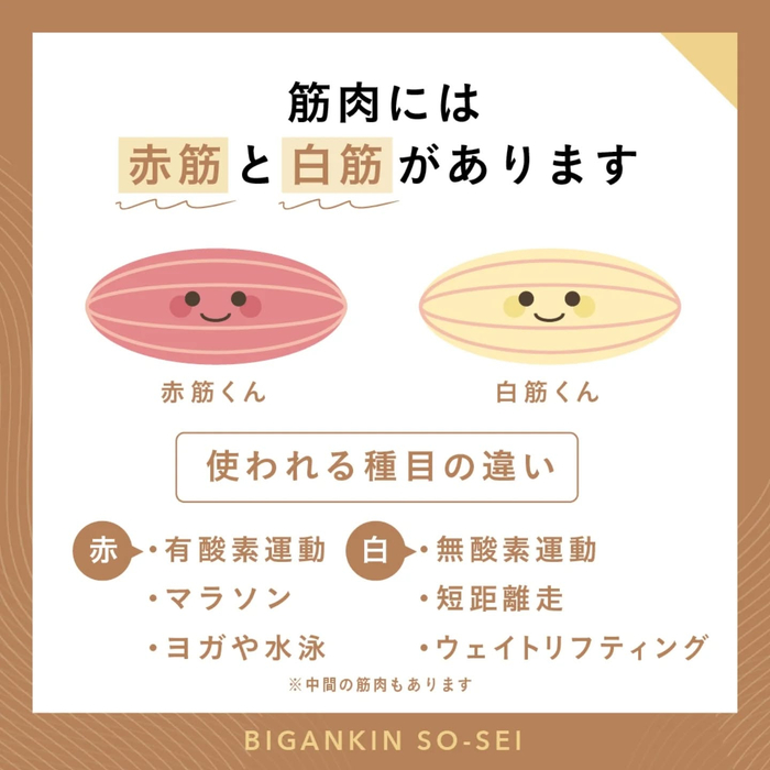 画像424