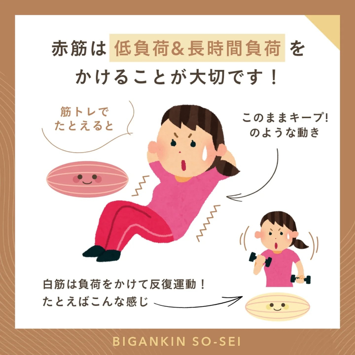 画像425