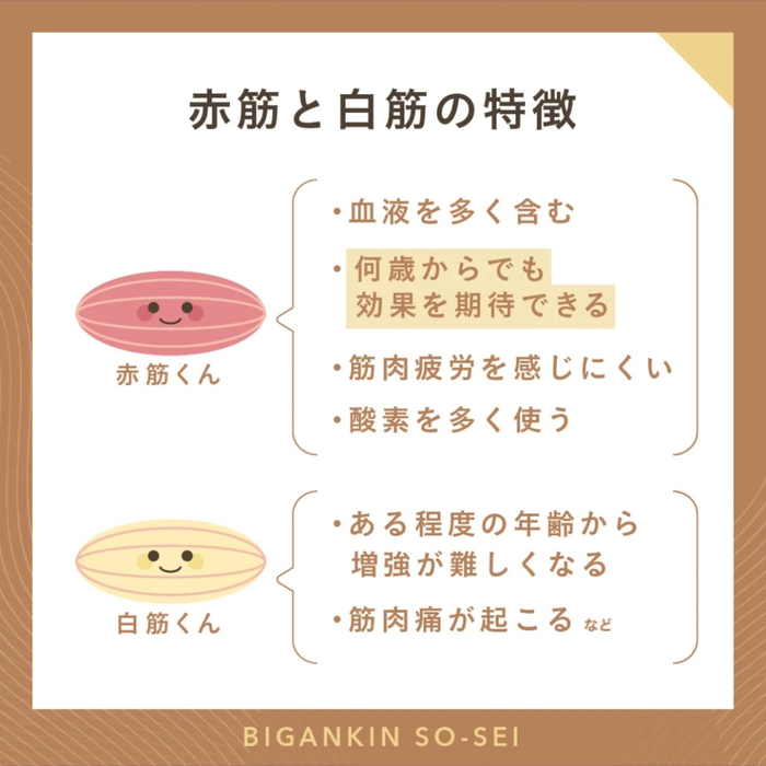 画像426