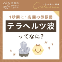 画像446