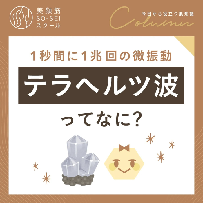 画像446