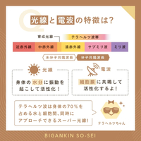 画像447
