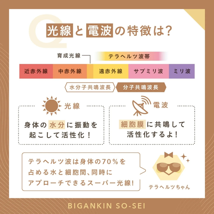 画像447