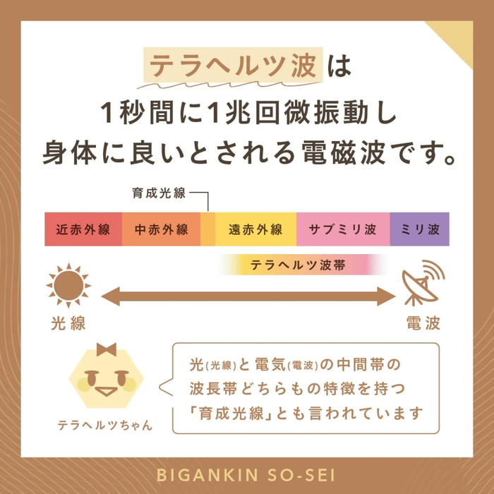 画像448