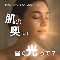 画像453
