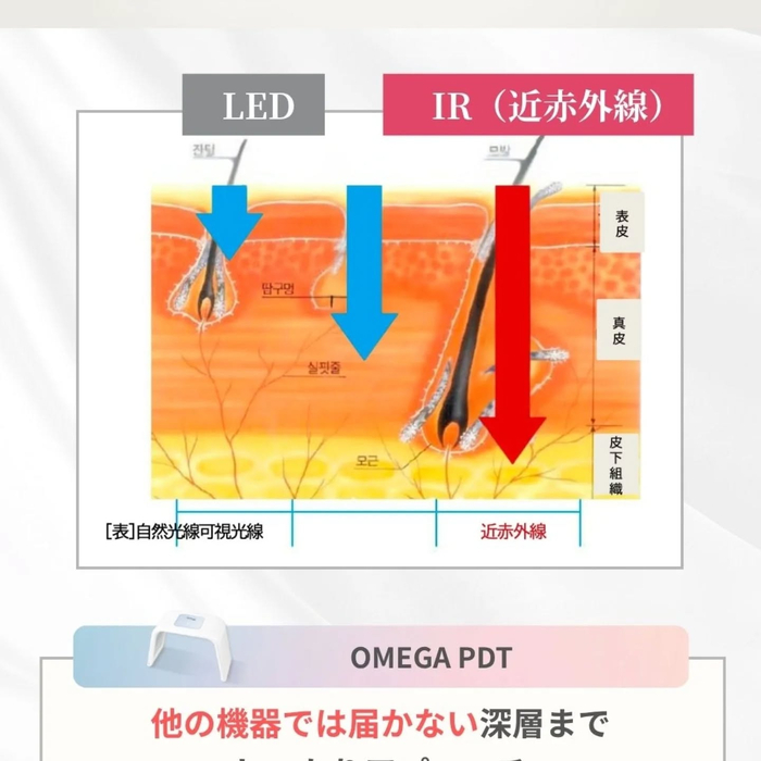画像455