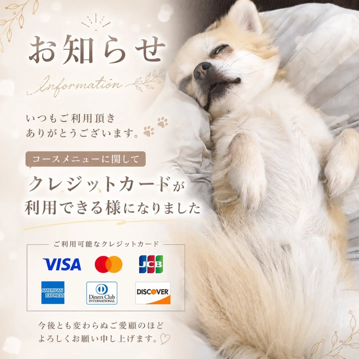画像464