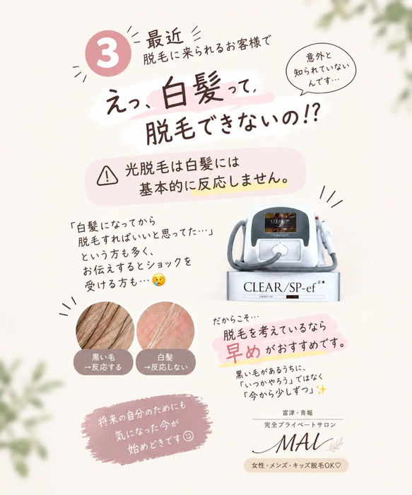 画像501